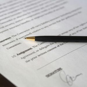 professional writing